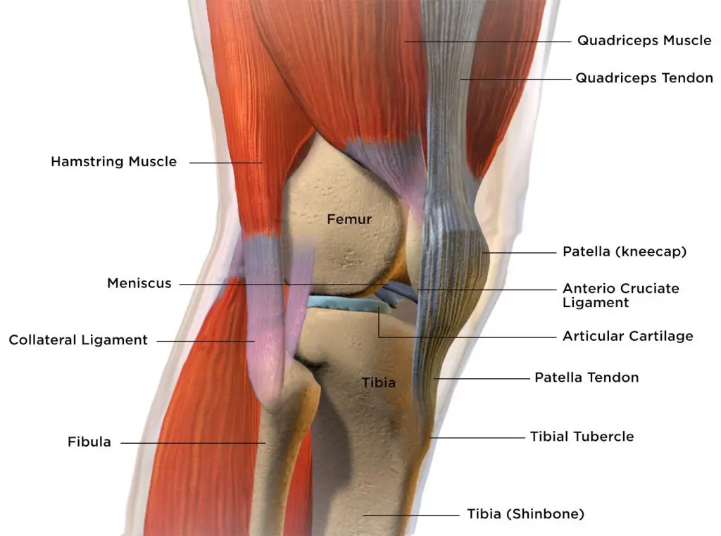 runner's knee