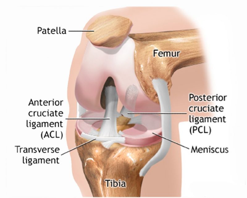 Meniscus Tear