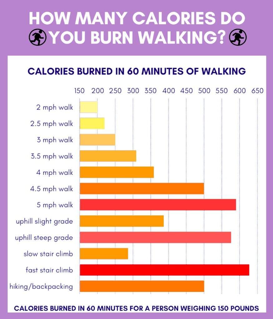 calories burned walking calculator